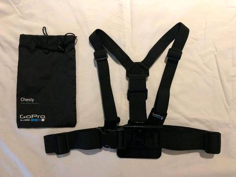 GoPro chest mount harness + bag