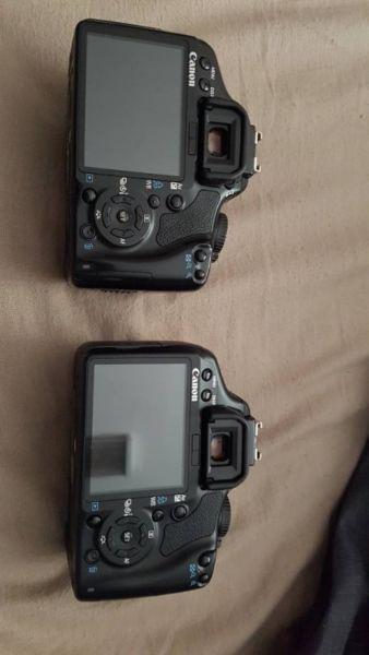 2x Canon EOS 450D Cameras (Bargain)