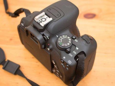 Canon EOS 700D DSLR + Canon EFS 55-250mm lens