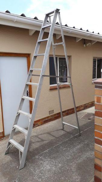 10-step aluminium ladder