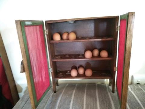 Egg tray/storage cabinet