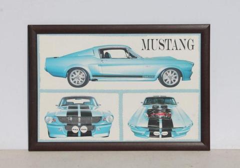 Glassfronted Wooden Framed Ford Mustang GT500E Picture