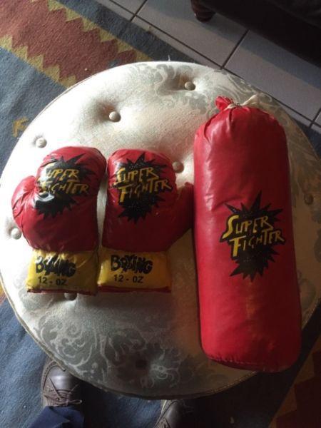 Boxing gloves and punching bag set
