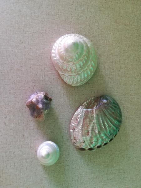 Shells and a Crystal