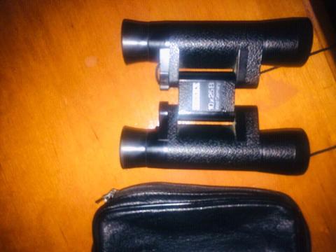 Zeiss binoculars 10x25b