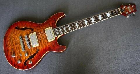 Cort M900 Semi-Hollow Body Electric Guitar (Top of the Line M Series)