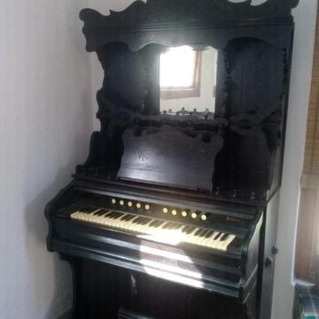 weaver organ