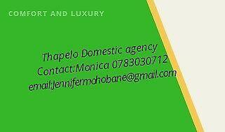 Domestic Agency
