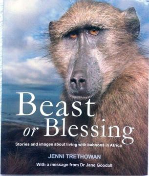 Beast or Blessing - Jenni Trethowan