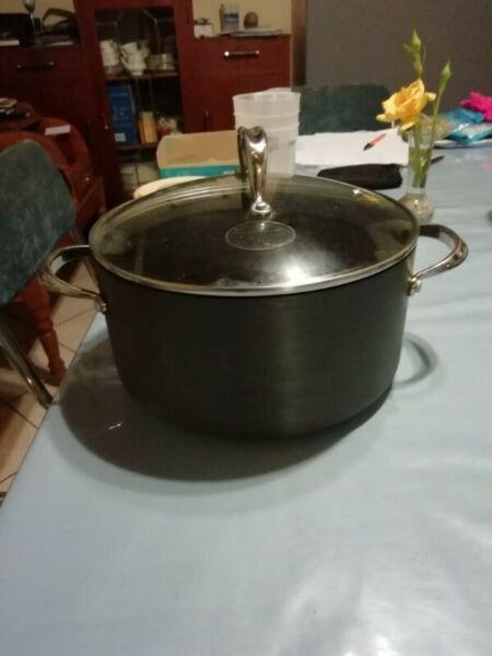Large non stick pot