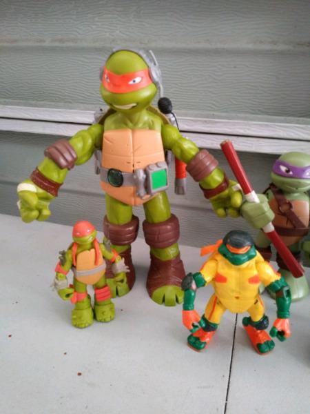 Ninja turtle collection