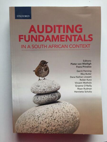 auditing fundamentals in a south african context Textbook 