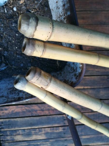Bamboo Didgeridoos (custom)  