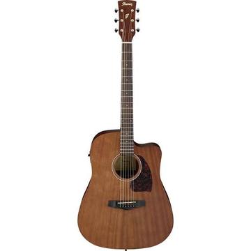 Ibanez Acoustic Guitar - New 