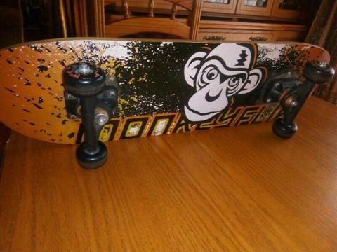 New skateboard 
