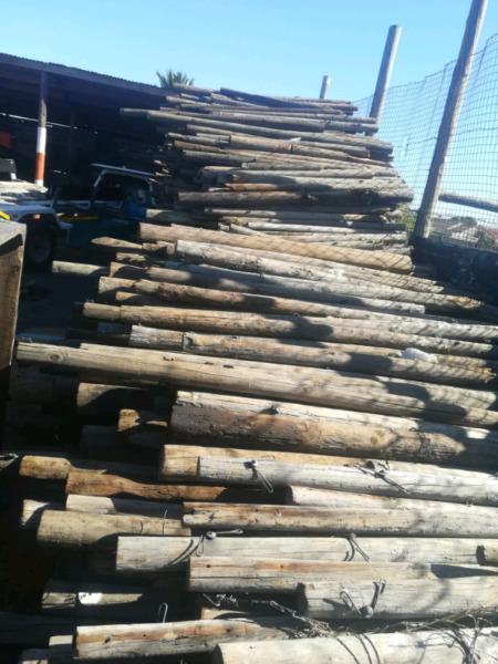 Wooden poles 