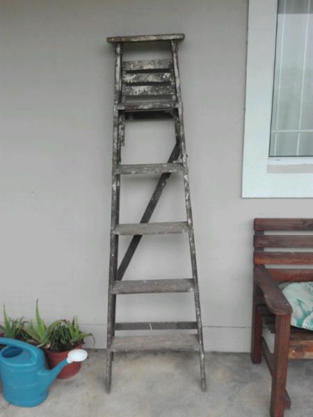 6 foot ladder 