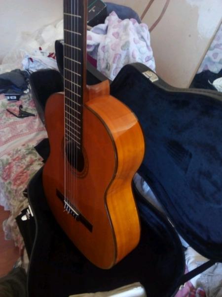 Aria Flamenco guitar A541F 