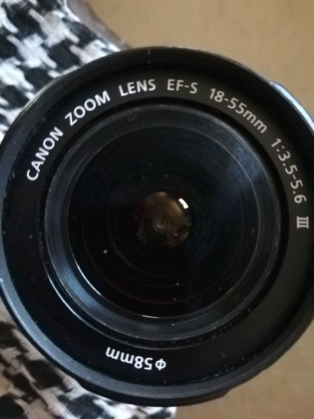 Canon 18-55mm lens 