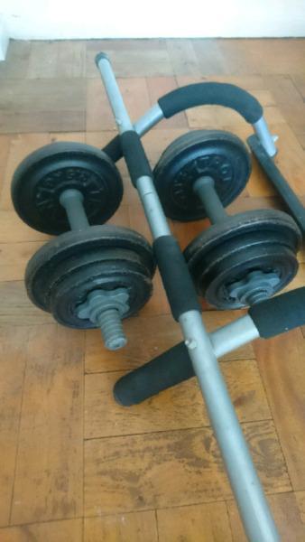 Dumbells and pull up bar 