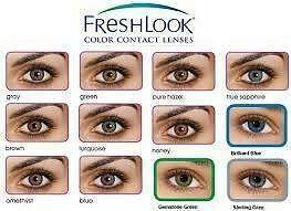 freshlook contacts 