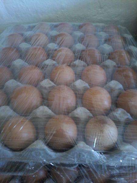 Farm fresh eggs large on special 