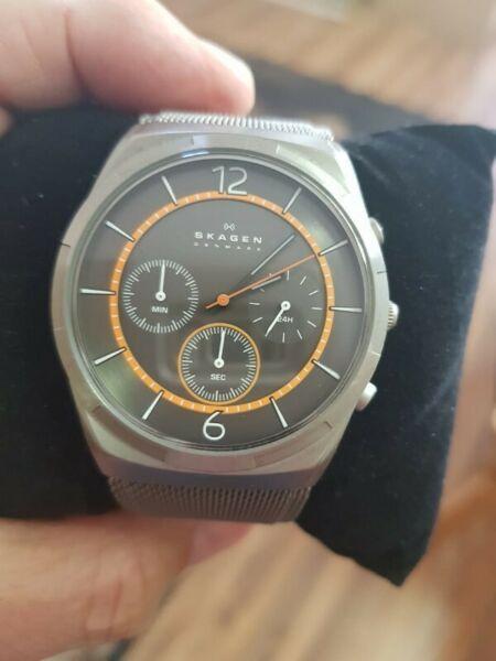 Skagen Titanium Watch 