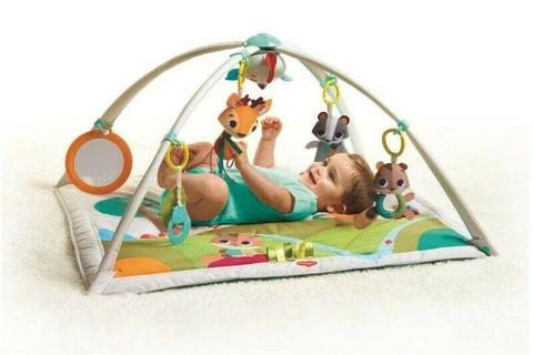 Baby Play Mat/Baby Gym 