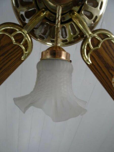 Ceiling fan light 