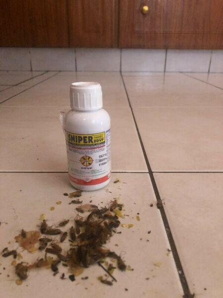 Pest Control Product,Drops kill thousands of Cockroaches 