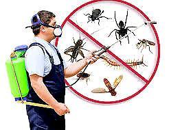 Pest control 
