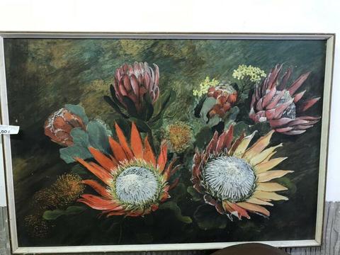 Protea painting  