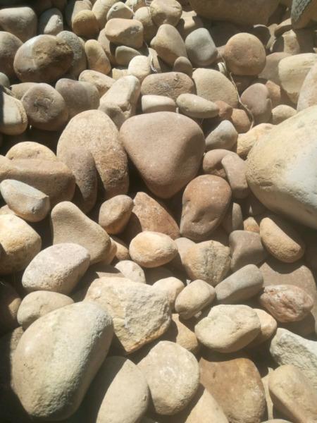 Garden stones 