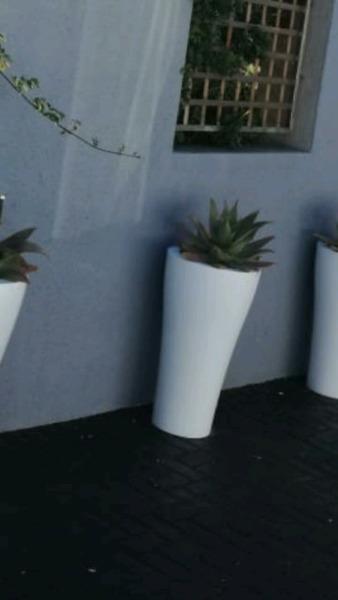 White pots  