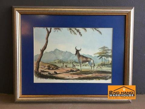 Wall painting of small Gemsbok 