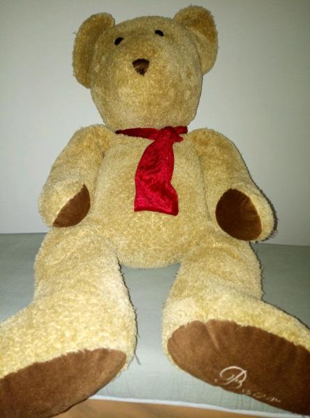 Teddy Bear  