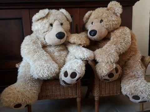 Giant Vintage Teddy Bears 