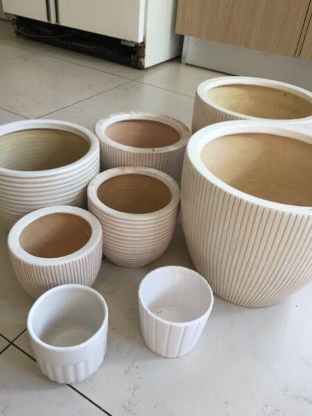 White potplant pots 